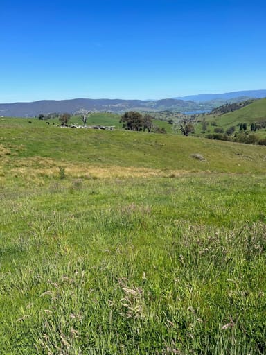 Property CA 6 of 858 Sirls Road, JARVIS CREEK VIC 3700 IMAGE 0
