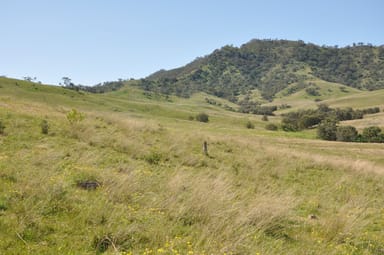 Property Rouchel Gap Rd Rouchel Gap Rd, Mccullys Gap NSW 2333 IMAGE 0