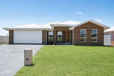 Property 8 Hawkins Street, Temora  IMAGE 0