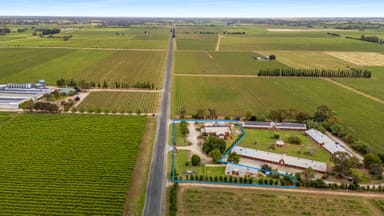 Property 15006 Riddoch Hwy, Coonawarra SA 5263 IMAGE 0