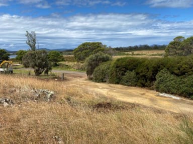 Property 343 Swan River Road, DOLPHIN SANDS TAS 7190 IMAGE 0