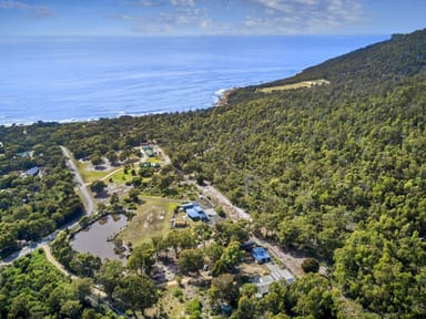 Property 363 HARVEYS FARM Road, BICHENO TAS 7215 IMAGE 0