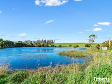 Property 449 Chapel Road, Sassafras TAS 7307 IMAGE 0