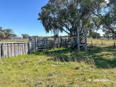 Property Lot 74 Wells Crossing Road, Ashford NSW 2361 IMAGE 0