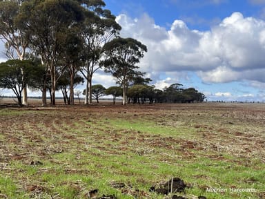 Property . 'Brondel', SOUTHERN CROSS WA 6426 IMAGE 0