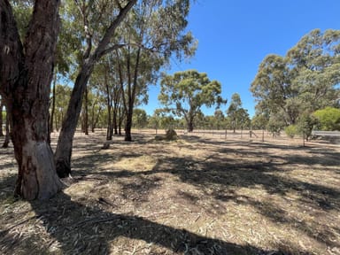 Property 4858 Calder Highway, KurtinG VIC 3517 IMAGE 0