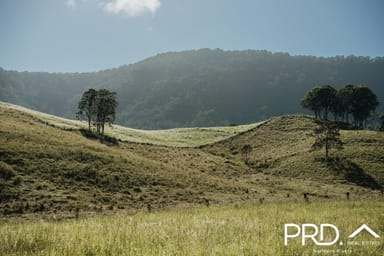 Property Lot 28, 46 Lynches Creek Road, WIANGAREE NSW 2474 IMAGE 0