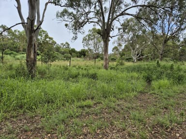 Property Lot 306 - 308 Barr Smith Street, YARRAMAN QLD 4614 IMAGE 0