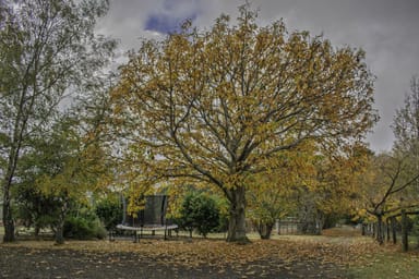 Property 304 Dickensons Creek Road, GLEN HUON TAS 7109 IMAGE 0