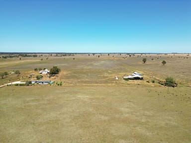 Property 251L Mogriguy Road, Dubbo NSW 2830 IMAGE 0