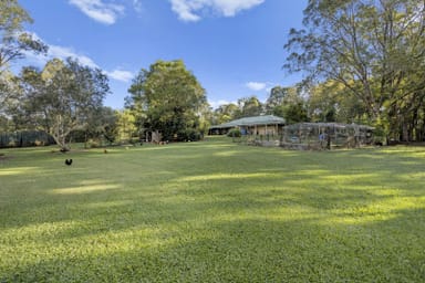 Property 299 Brays Creek Road, PUMPENBIL NSW 2484 IMAGE 0