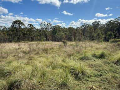 Property Lot 1 & Lot 444 New England Highway, EMU CREEK QLD 4355 IMAGE 0