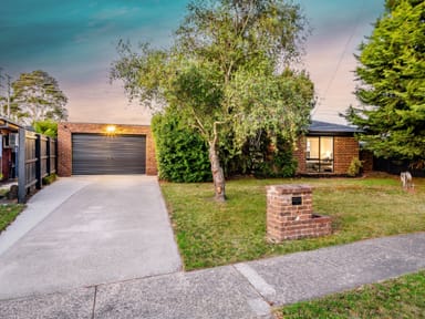 Property 16 Darcy Court, Cranbourne VIC 3977 IMAGE 0