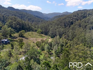 Property 1198 Horseshoe Creek Road, UPPER HORSESHOE CREEK NSW 2474 IMAGE 0