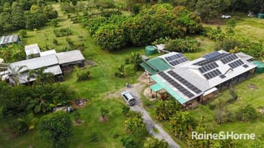 Property 112 George Road, Forest Creek, DAINTREE QLD 4873 IMAGE 0