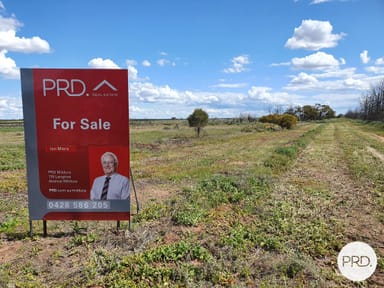 Property Lot 17a Midgley Road, MERBEIN SOUTH VIC 3505 IMAGE 0