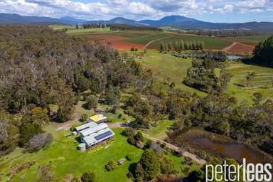 Property 338 Gillespies Road, Nabowla TAS 7260 IMAGE 0