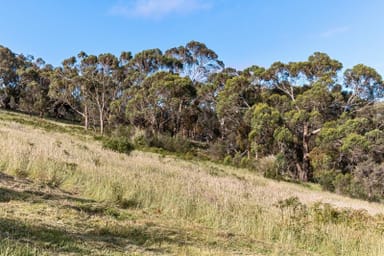 Property 16, 270 Forest Drive, Mount Martha VIC 3934 IMAGE 0