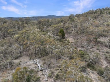 Property Lot 89, 77, 6 Tombong Road, Tombong NSW 2633 IMAGE 0