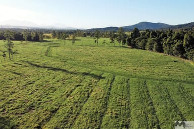 Property Lot 6 Meuanbah Road, Bombeeta QLD 4871 IMAGE 0