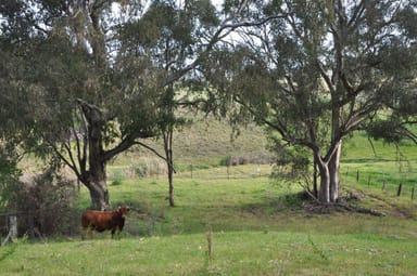 Property 51 Queen St, Bunnan NSW 2337 IMAGE 0