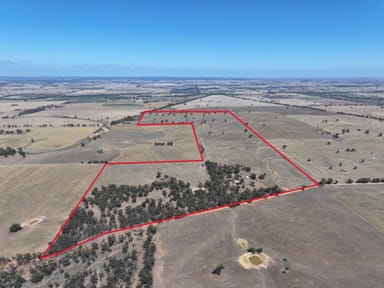 Property 273 Burkes Flat-Wedderburn Road, BURKES FLAT VIC 3475 IMAGE 0