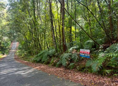 Property 7 Summervilles Road, GLENIFFER NSW 2454 IMAGE 0