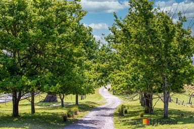 Property 1109 Princes Highway, MOGO NSW 2536 IMAGE 0