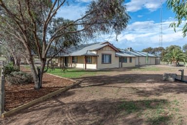 Property 217 Mallee Road, WALKER FLAT SA 5238 IMAGE 0