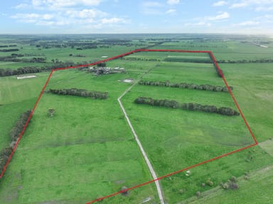 Property 470 Old Irrewillipe Road, Bungador VIC 3254 IMAGE 0