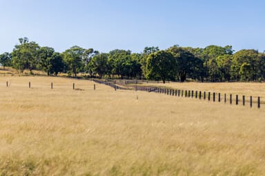 Property 1872 Reedy Creek Road, Tenterfield NSW 2372 IMAGE 0