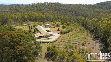 Property 425 Pipers River Road, Turners Marsh TAS 7267 IMAGE 0