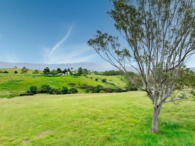 Property 423 Sams Corner Road, Bemboka NSW 2550 IMAGE 0