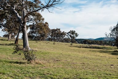 Property 175 Woodbury Drive, Sutton NSW 2620 IMAGE 0