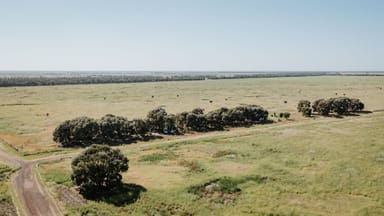 Property Moonie Highway Moonie Highway, Moonie QLD 4406 IMAGE 0