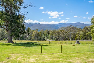 Property 767 Sandfly Road, Sandfly TAS 7150 IMAGE 0