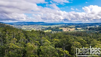 Property 395 Mountain Road, Lilydale TAS 7268 IMAGE 0