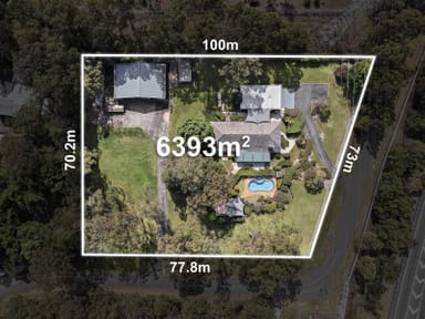 Property 53 Weedon St West, Mansfield QLD 4122 IMAGE 0