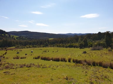Property Lot 1 Costains Road, GEEVESTON TAS 7116 IMAGE 0