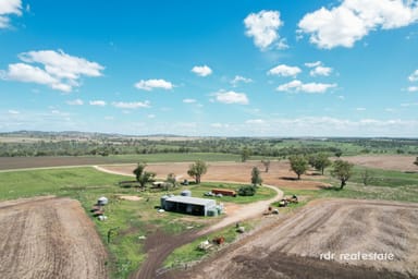 Property Gragin Boundary Road, Delungra NSW 2403 IMAGE 0