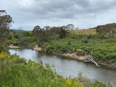 Property 193 Wyanbene Road, WYANBENE NSW 2622 IMAGE 0