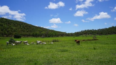 Property 426 Spring Valley Road, ST LAWRENCE QLD 4707 IMAGE 0