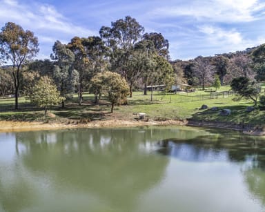 Property 338 Harpers Road, Barjarg VIC 3723 IMAGE 0