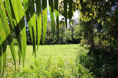 Property 1 Peachester Road, Beerwah QLD 4551 IMAGE 0