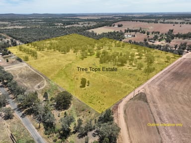 Property Tree Tops Estate 128R Minore Road, Dubbo NSW 2830 IMAGE 0