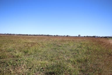 Property 244 A Creek Road, EIDSVOLD QLD 4627 IMAGE 0