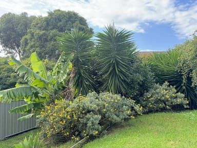 Property 16 Montague Avenue, Kianga NSW 2546 IMAGE 0