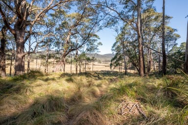 Property 153 Blue Bush Road, Wyanbene NSW 2622 IMAGE 0