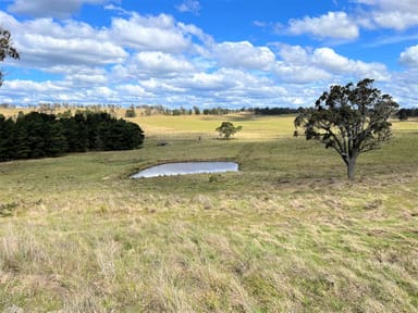 Property Lot 15 Losebys Road, Marulan NSW 2579 IMAGE 0