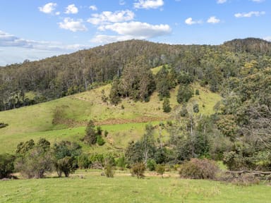 Property Lot 1 Forest Lodge Road, PYENGANA TAS 7216 IMAGE 0